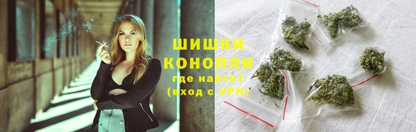 трава Арсеньев
