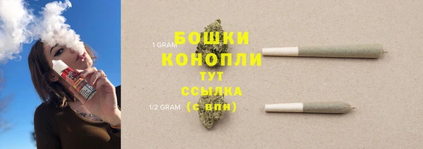 трава Арсеньев