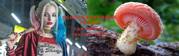 ALPHA PVP Аркадак